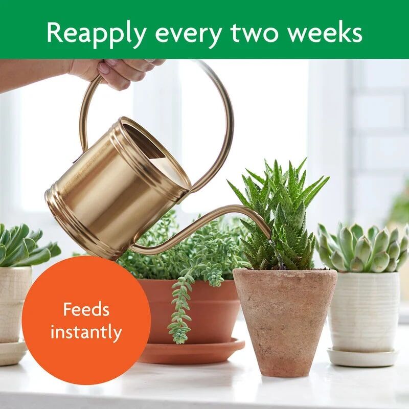 Miracle-Gro Succulent Plant Food, 8-Oz