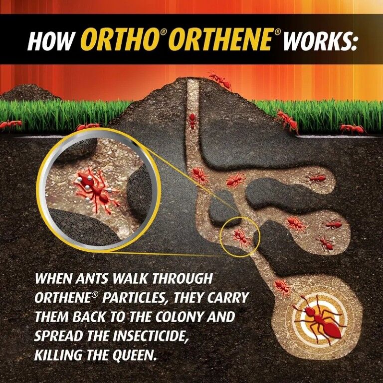 Ortho Orthene Fire Ant Killer, 12-Oz