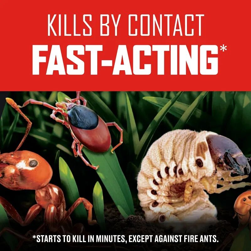 Ortho Bugclear Lawn Insect Killer, 10-Lb