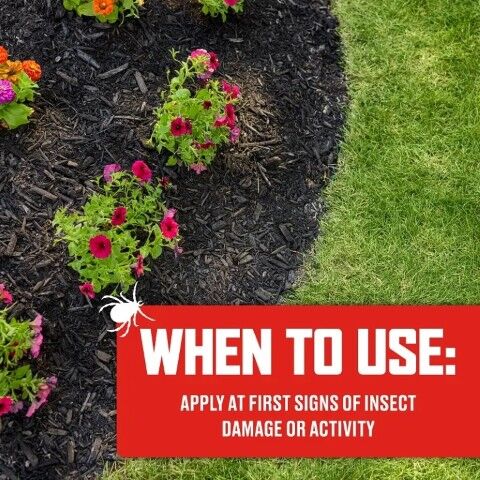 Ortho Bugclear Lawn Insect Killer, 10-Lb