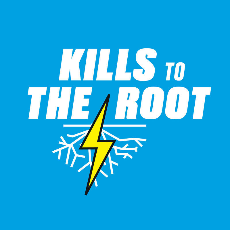 Ortho GroundClear Super Weed & Grass Killer, 1-Gal