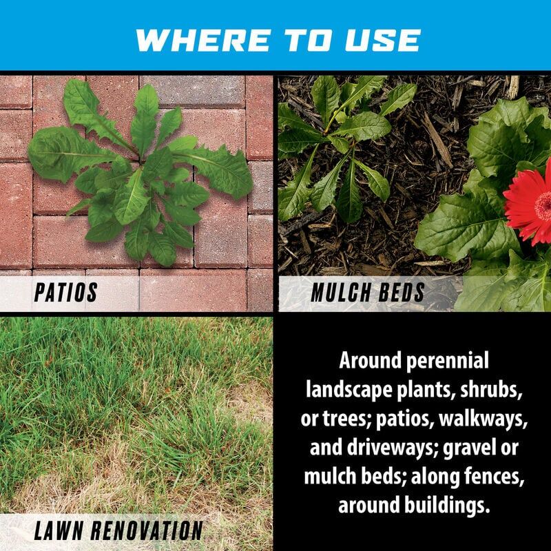 Ortho GroundClear Super Weed & Grass Killer, 1-Gal