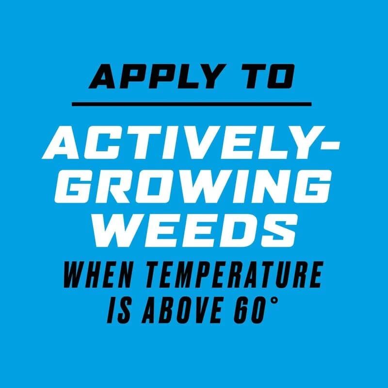 Ortho GroundClear Weed & Grass Killer Super Concentrate, 32-Oz