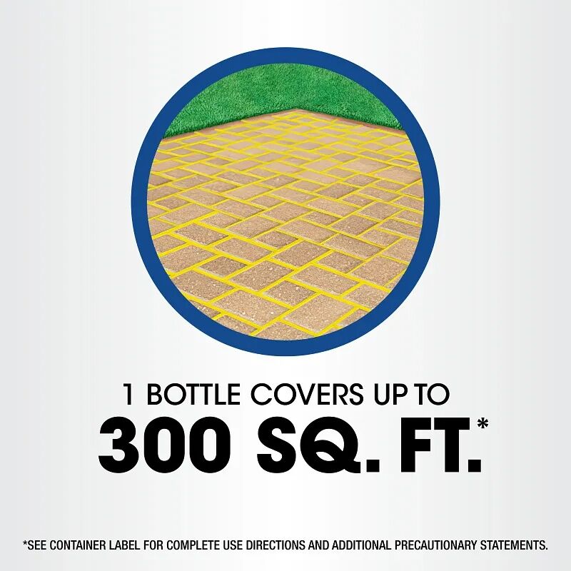 Roundup Weed & Grass Killer with Sure Shot Wand, 1-Gal