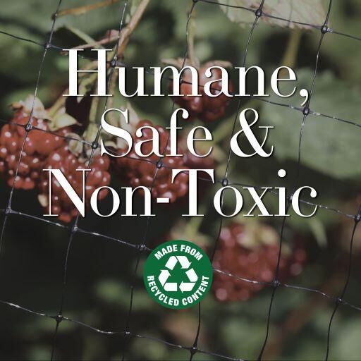 Dalen Bird-X Protective Netting For Fruit Trees & Shrubs, 5/8-In x 14-Ft x 14-Ft