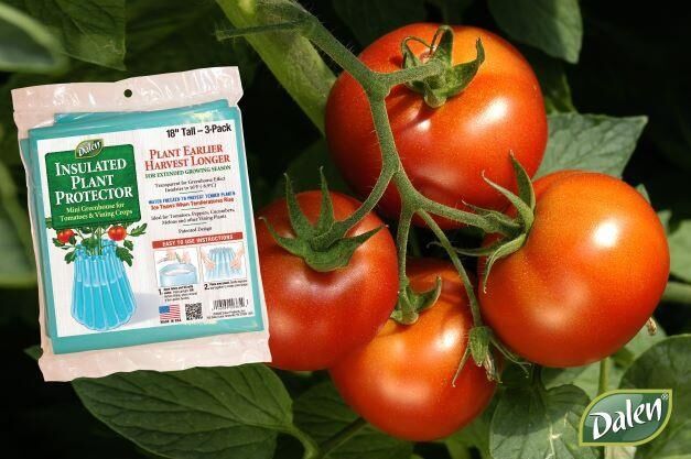 Dalen Wall-O-Water Blue Season Starter Mini Greenhouse Plant Protector, 18 in., 3-Pk