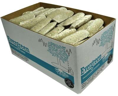 Jobe's , Evergreen Tree Fertilizer Spike With Cap 11-3-4