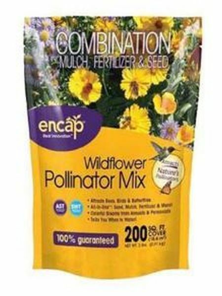 Earth Science Wildflower Pollinator Mix - 2 lb
