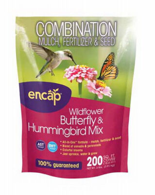 Earth Science Butterfly & Hummingbird Wildflower Mix - 2 lb