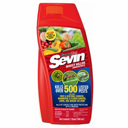 Sevin Insect Killer Concentrate - 1 qt