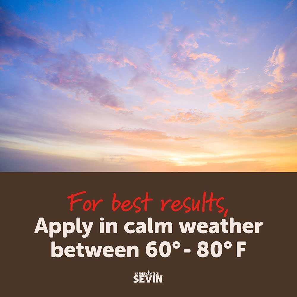 Sevin Insect Killer Concentrate - 1 qt