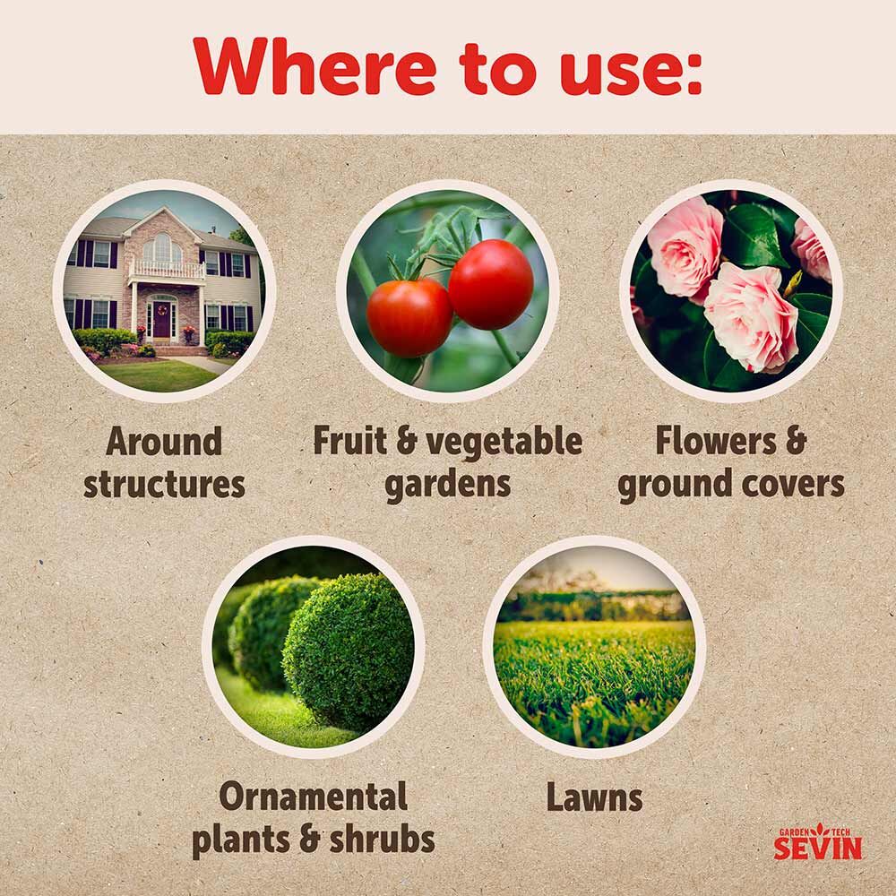 Sevin Insect Killer Concentrate - 1 qt