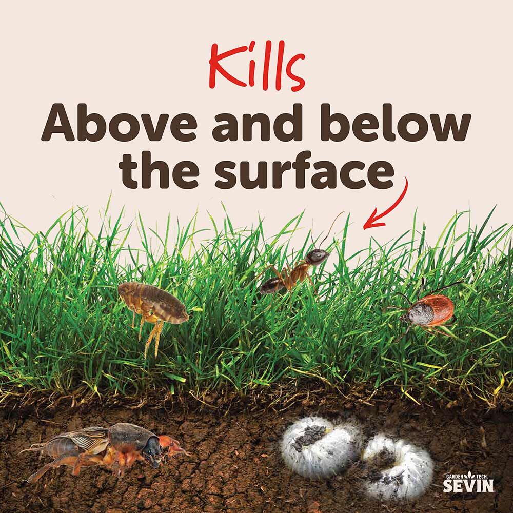 Sevin Multi-Purpose Insect Killer - 10 Lbs