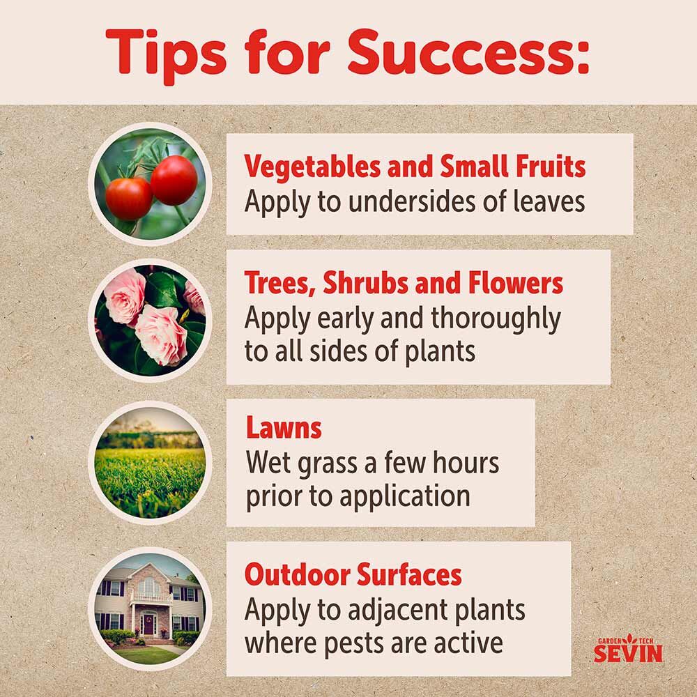 Sevin Insect Killer Ready To Use - 1 qt