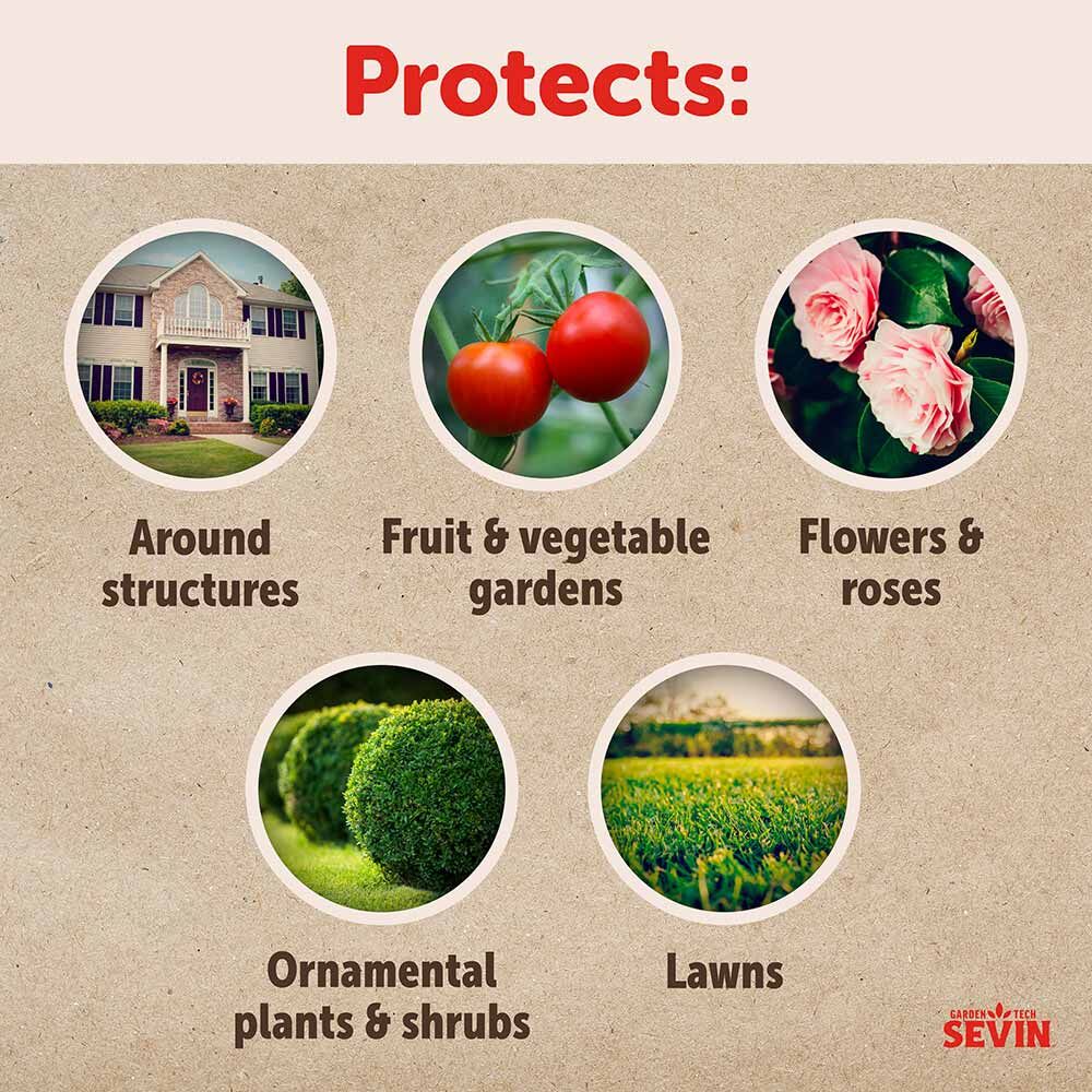 Garden Tech Sevin Insect Killer Dust, 3-Lb