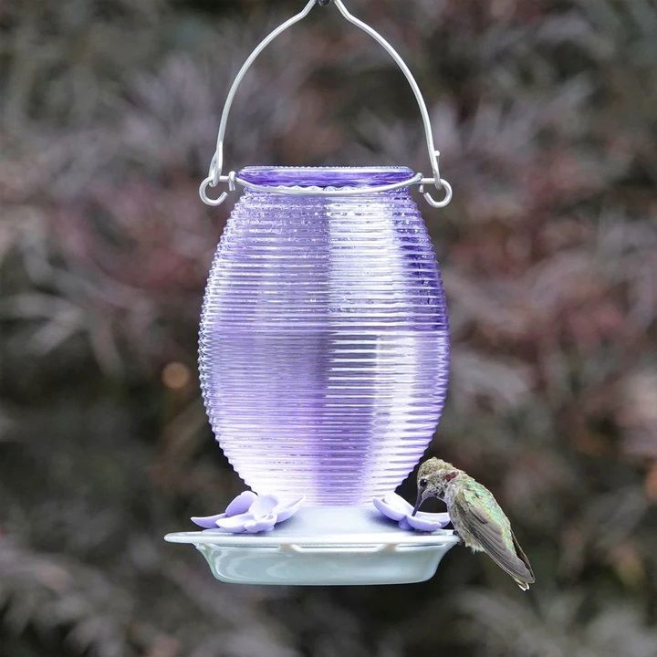 Nature's Way Lilac Dreams Antique Glass Gravity Hummingbird Feeder, 29-Oz