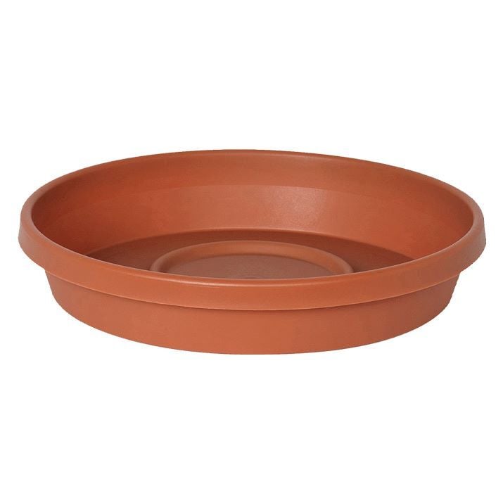 Bloem Terra Saucer Terra Cotta, 12-In