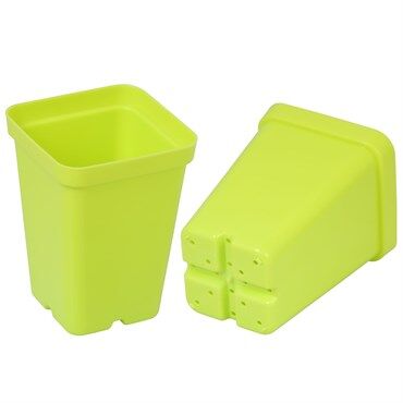 Sunpack Square Pot Lime Green, 2.5-In
