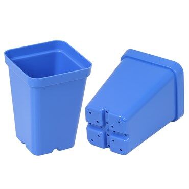 Sunpack Square Pot Blue, 2.5-In
