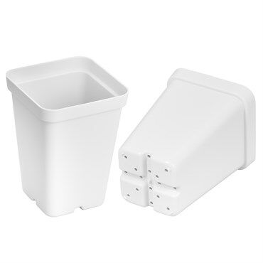 Sunpack Square Pot White, 2.5-In