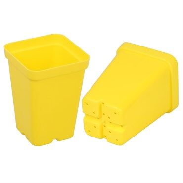 Sunpack Square Pot Yellow, 2.5-In