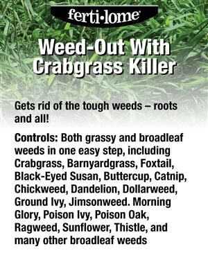 ferti-lome Weed-Out With Q - 32 oz