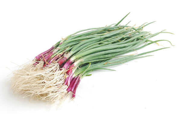 Magic Valley Growers Red Onion Sets, 100-Ct