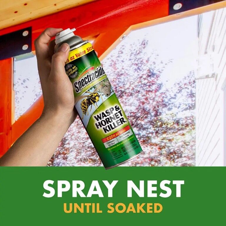Spectracide Wasp & Hornet Killer, 18.5-Oz