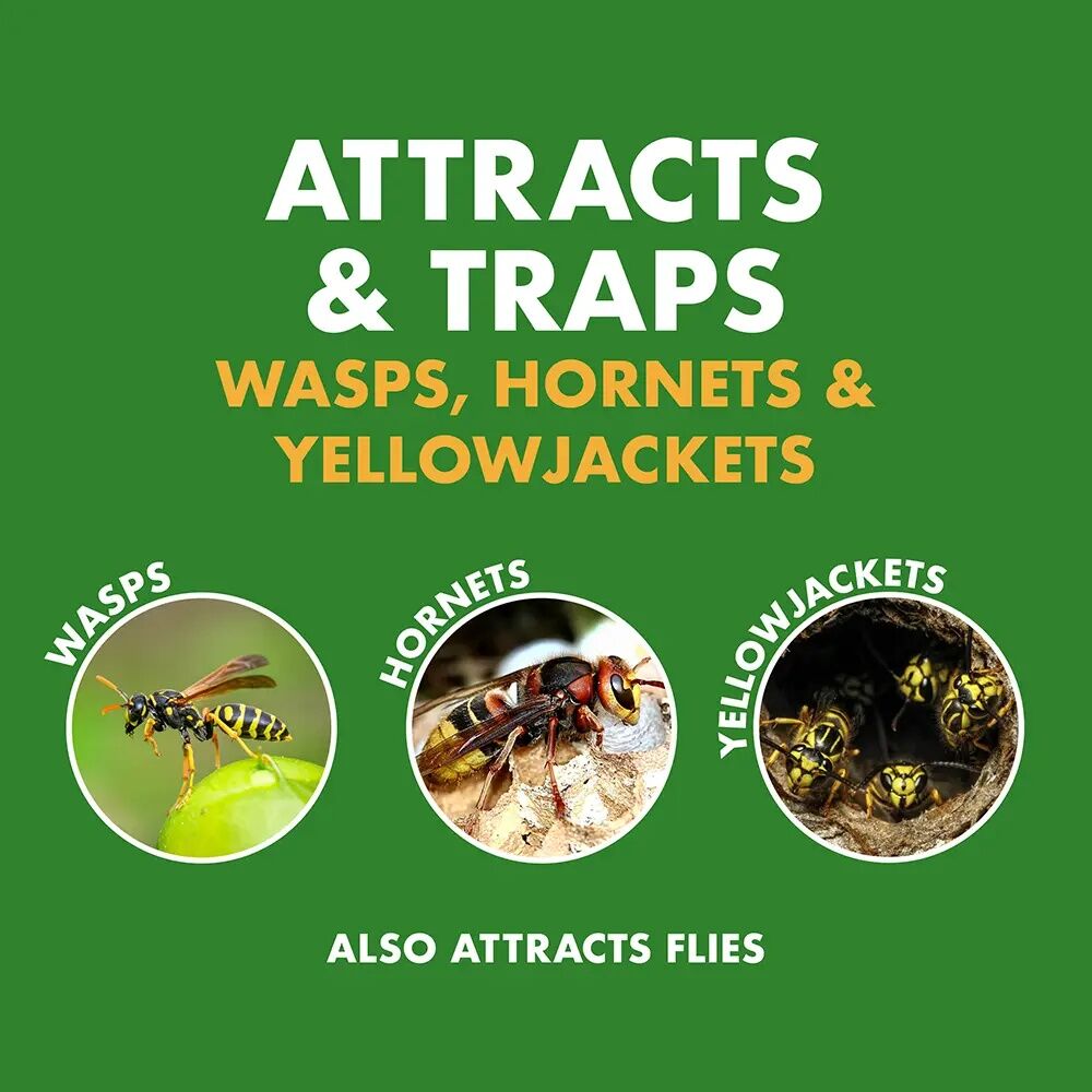 Spectracide Wasp, Hornet, & Yellowjacket Trap