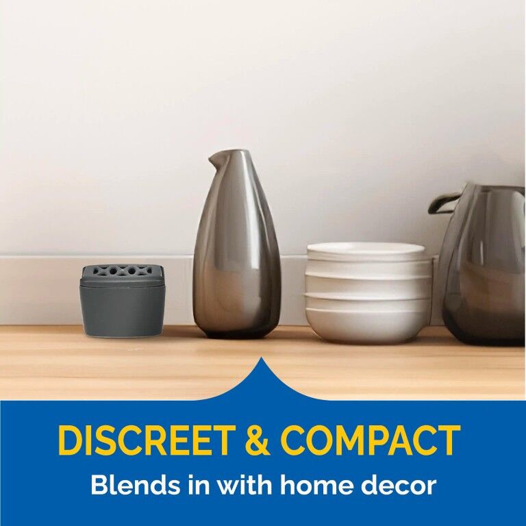 Hot Shot Flying Insect Trap, 2-Pk