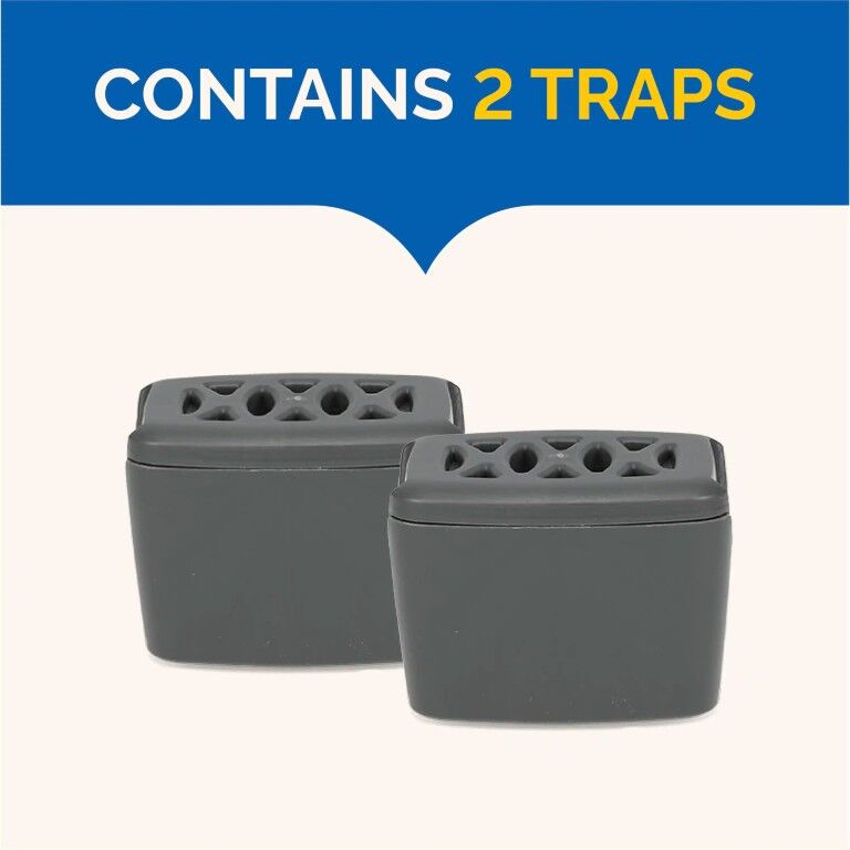 Hot Shot Flying Insect Trap, 2-Pk