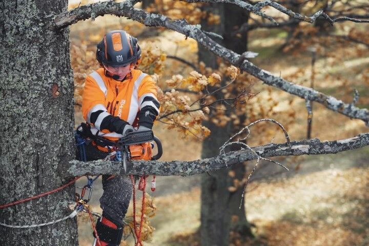 Husqvarna T435 Chainsaw, 12-In