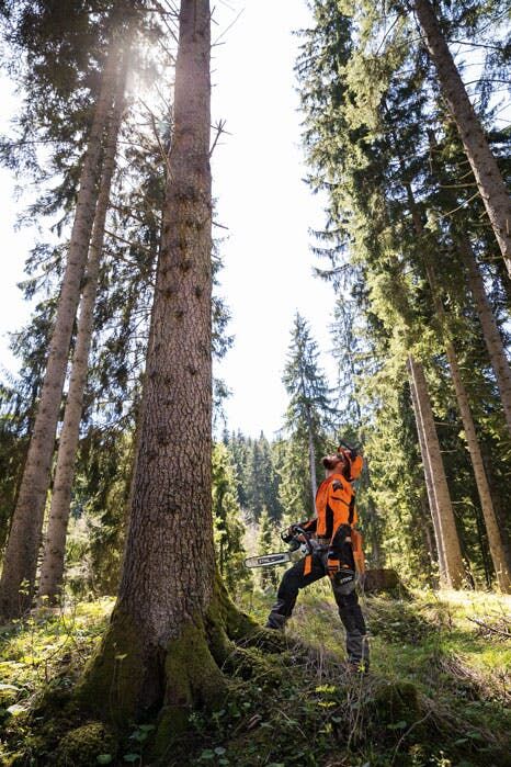 STIHL MS 462 C-M ElastoStart 25 in. Gas Chainsaw With 33 RS