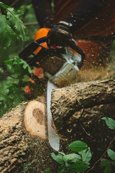 STIHL MS 462 C-M ElastoStart 25 in. Gas Chainsaw With 33 RS