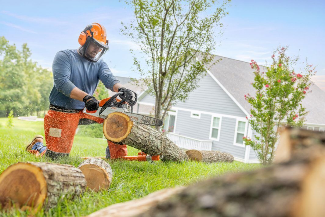 STIHL MS 172 C-E Easy2Start 16 in. Gas Chainsaw With 61 PMM3