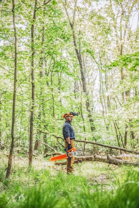 Stihl MS 391-Z Chainsaw - 20"