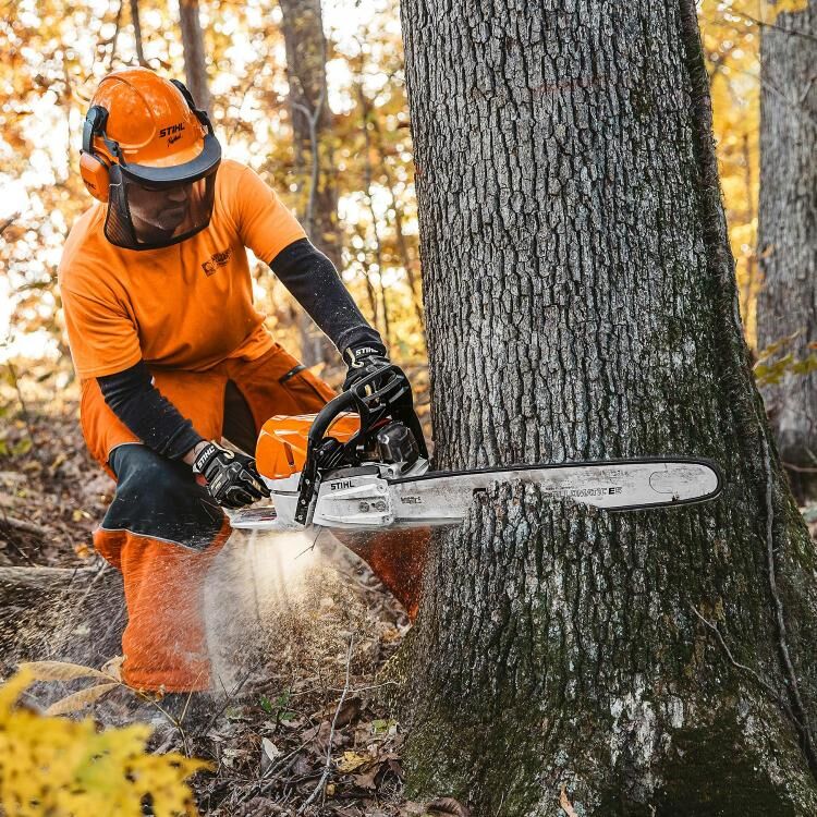 Stihl MS 462 R C-M Chainsaw, 25-In