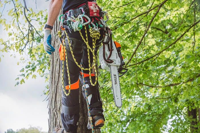 STIHL MS 201 T C-M Gas Top Handle Chainsaw, 16-In