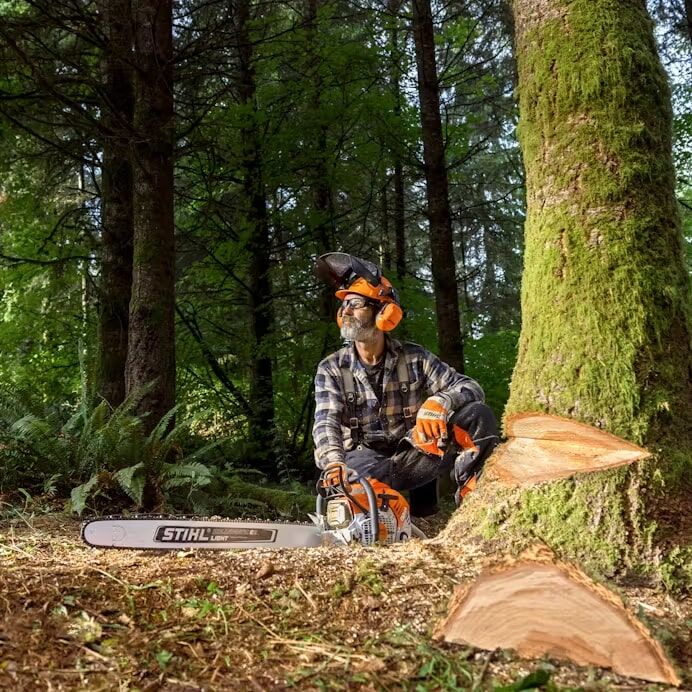 STIHL MS 500i R 28 33RS