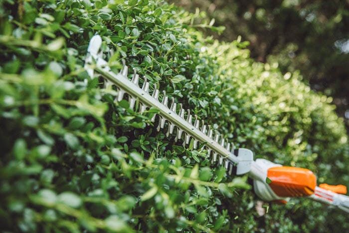 STIHL HLA 56 Battery Powered Extended-Reach Hedge Trimmer, 18 in. (Tool Only)