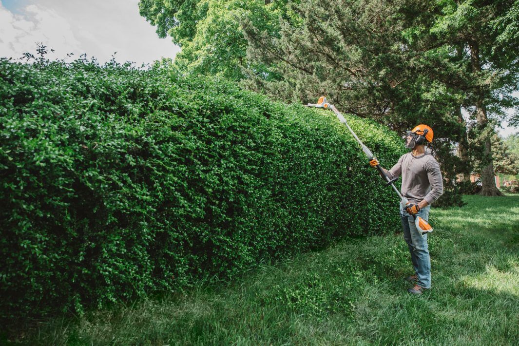STIHL HLA 56 Battery Powered Extended-Reach Hedge Trimmer, 18 in. (Tool Only)