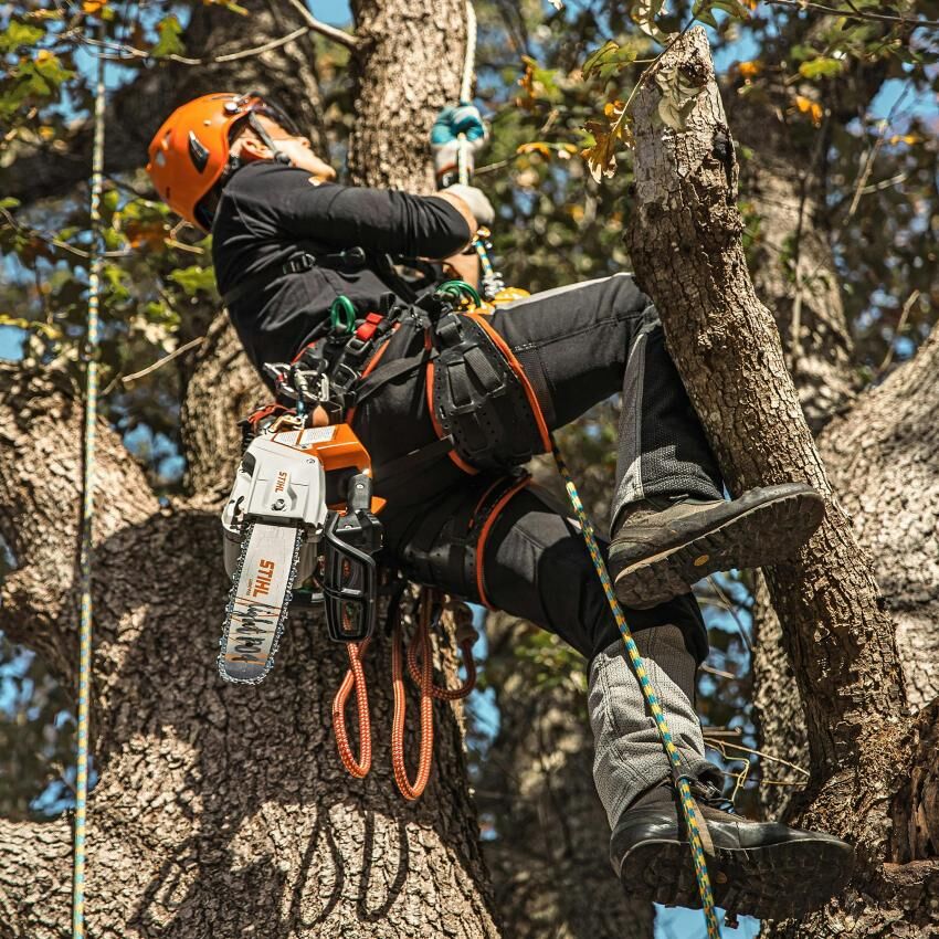 STIHL MSA 220 TC-O 16 in. Battery Powered Quick-Adjust Chainsaw (Tool Only)