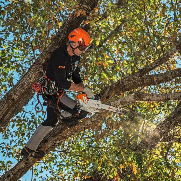 STIHL MSA 220 TC-O 16 in. Battery Powered Quick-Adjust Chainsaw (Tool Only)