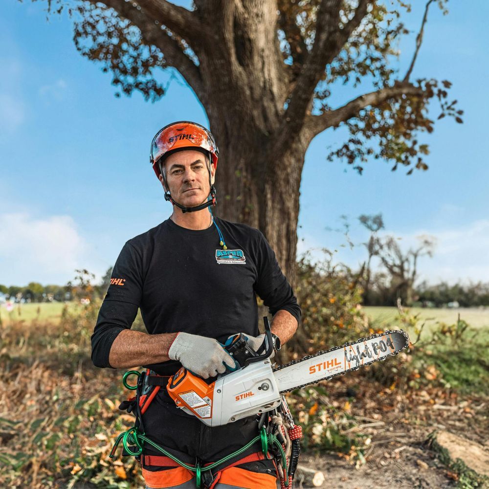 STIHL MSA 220 TC-O 16 in. Battery Powered Quick-Adjust Chainsaw (Tool Only)