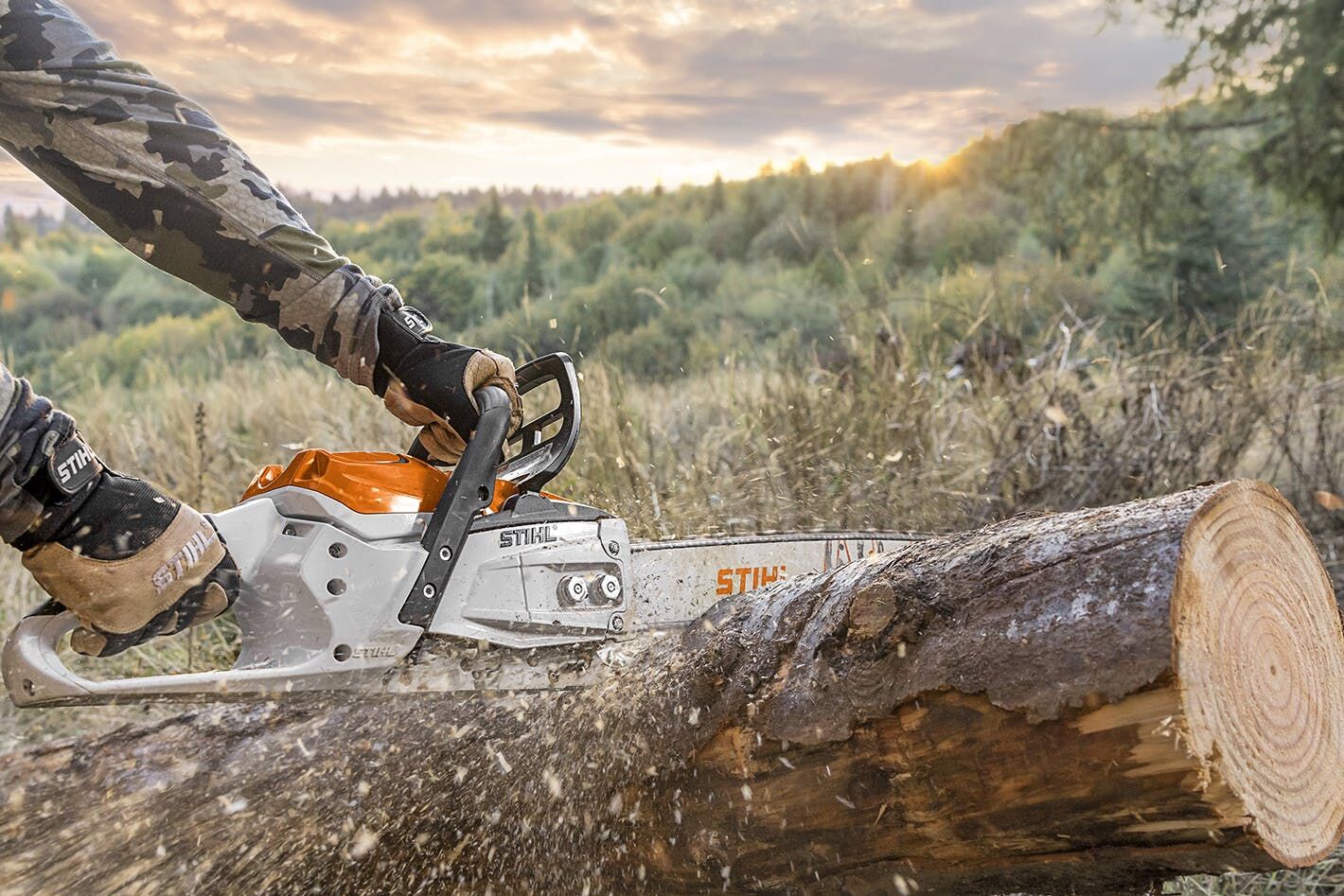STIHL Battery Powered Chainsaw