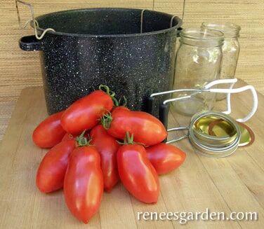 Renee's Garden Heirloom Sauce Tomato Italian San Marzano Seeds