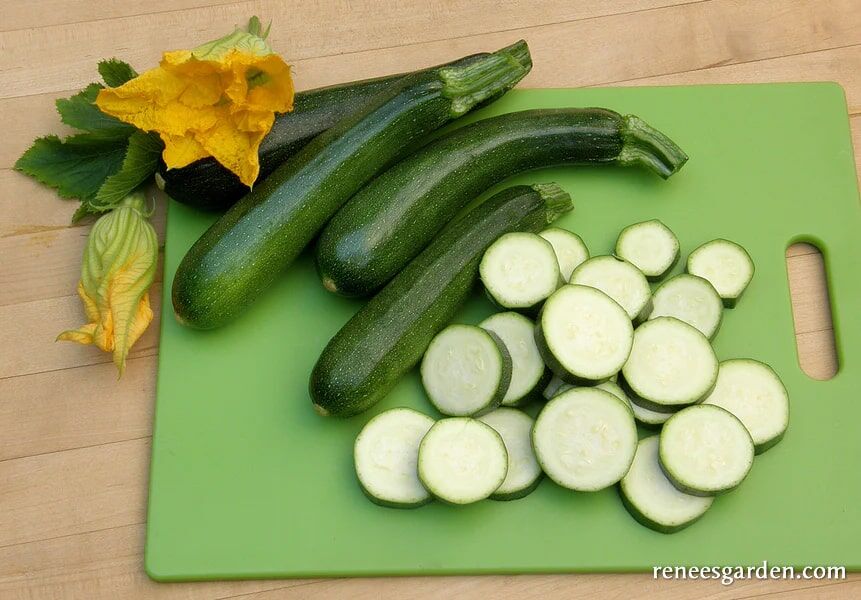 Renee's Garden Organic Climbing Zucchini Incredible Escalator Seeds