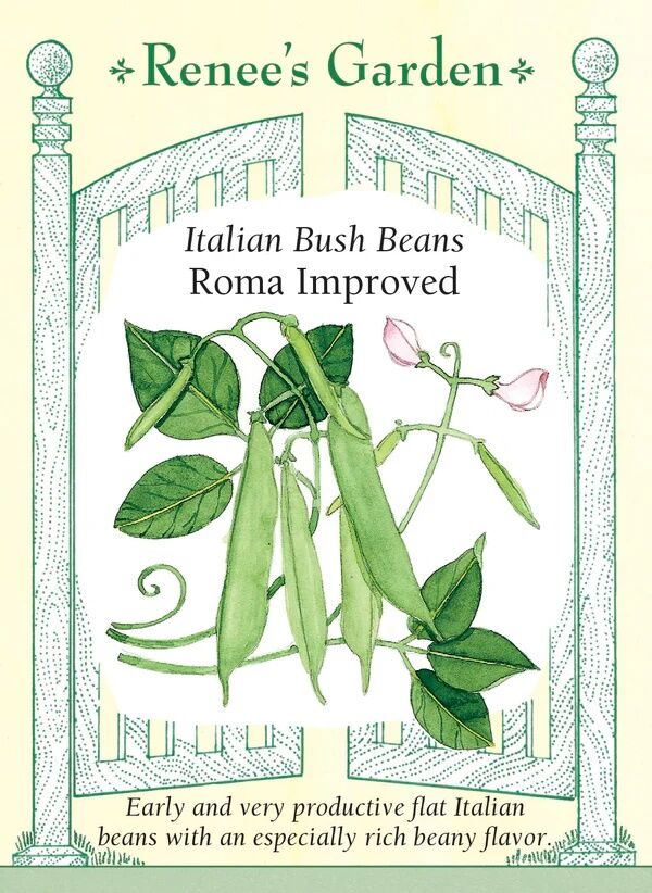 Renee's Garden Roma Improved Italian Bush Bean Seeds, 15-g
