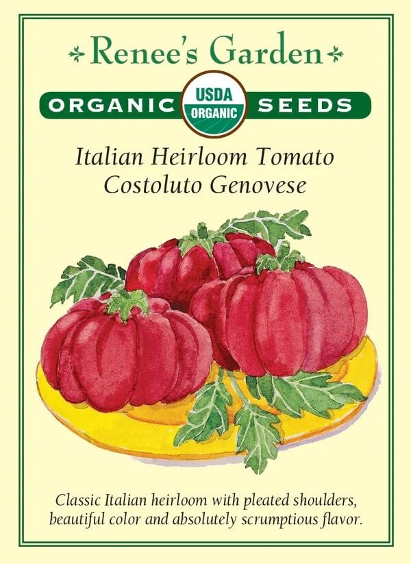 Renee's Garden Costoluto Genovese Italian Heirloom Tomato Seeds, 50-mg