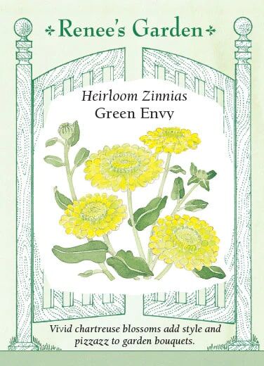 Renee's Garden Heirloom Zinnias Green Envy Seeds